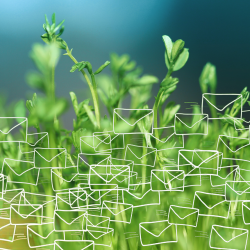 Email newsletters overlaid with plant growth