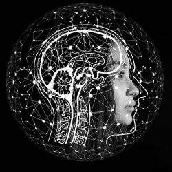 A brain, human face and lines depicting artificial intelligence superimposed in black and white